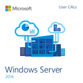 Microsoft Windows Server 2016 50 User CALs