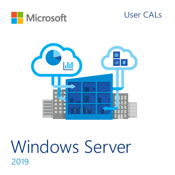 Microsoft Windows Server 2019 - 10 Client User CAL