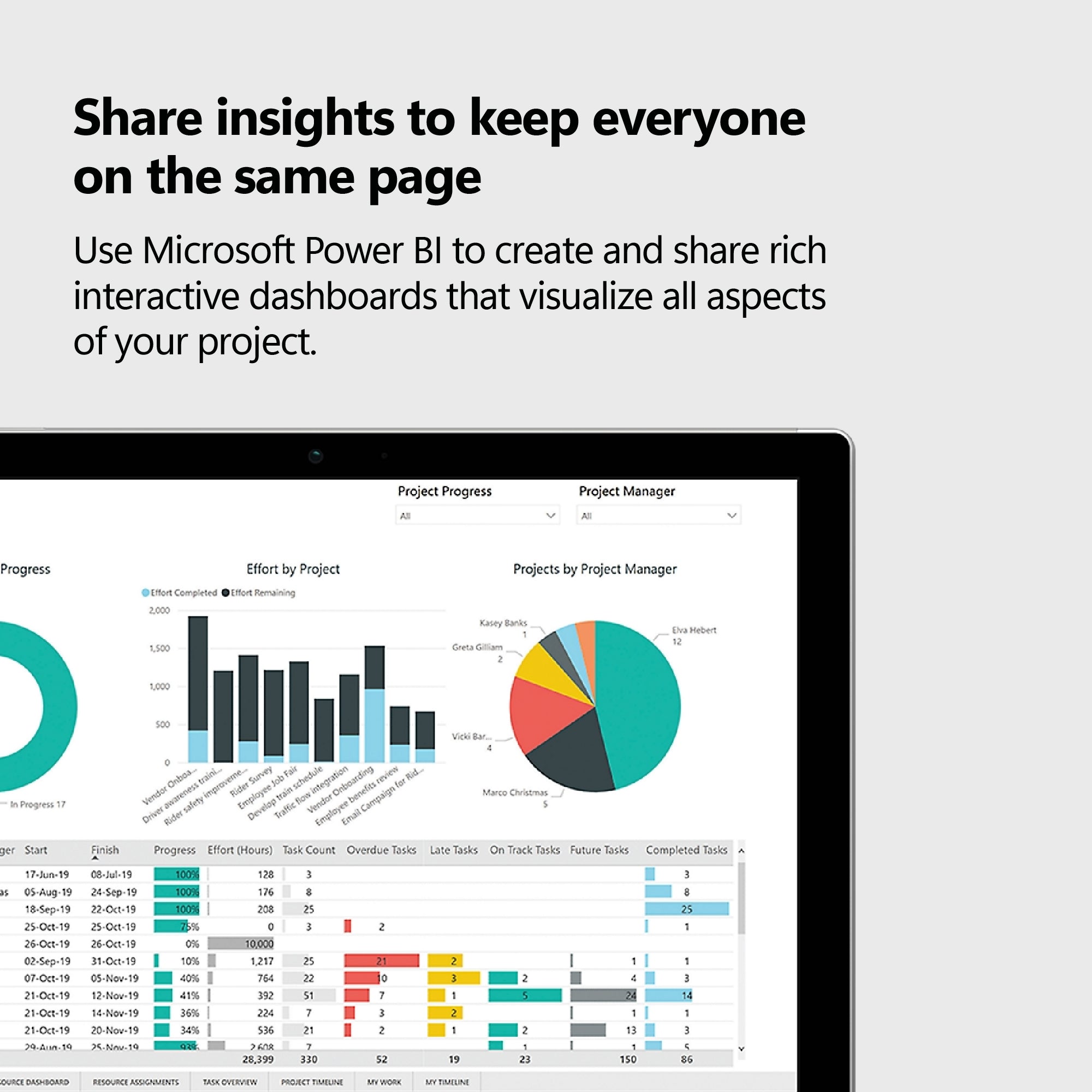 Microsoft Project 2019 Professional Edition License