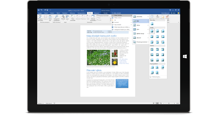 Microsoft Office 2019 Professional
