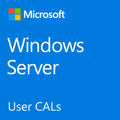 Microsoft Windows Server 2022 10 Client User CAL License