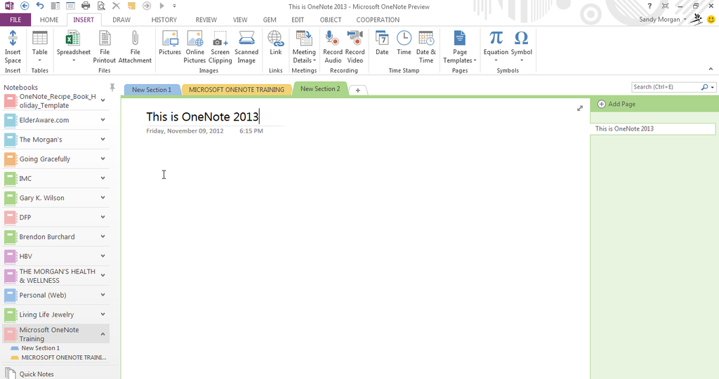 Microsoft Office 2013 Professional