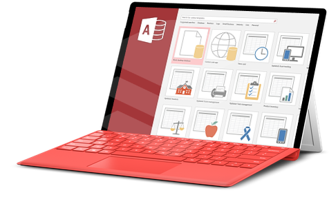 Microsoft Office 2019 Professional