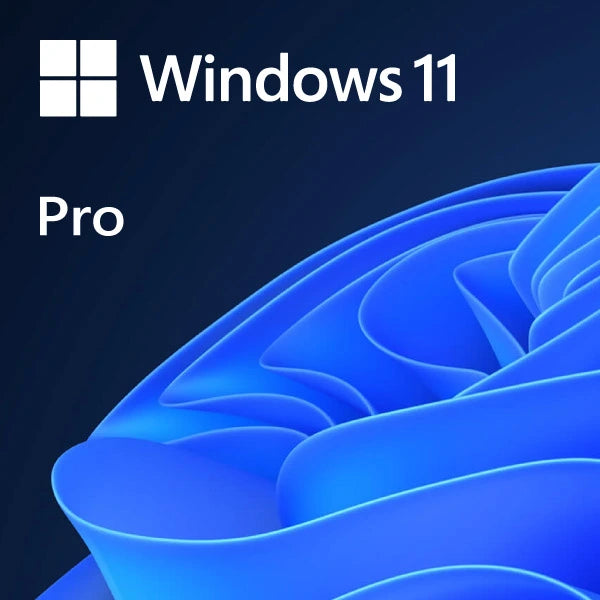 Microsoft Windows 11 Professional OEI DVD - 64-Bit