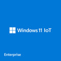 Microsoft Windows 11 IoT Enterprise 2024 LTSC Value